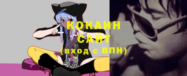 ECSTASY Белокуриха