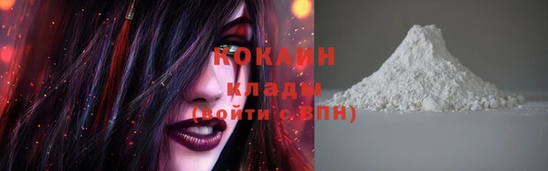 ECSTASY Белокуриха