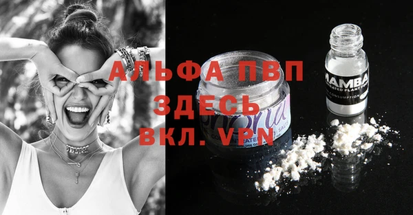 ECSTASY Богородск